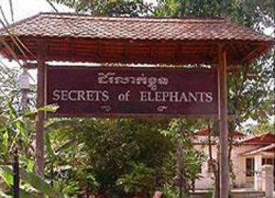 Secrets Of Elephants Hotel Siem Reap Eksteriør billede